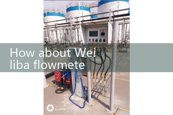 Weiliba flowmeter manufacturer